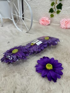 Rudbekia wyrobowa  ciemno fioletowa  12szt.       