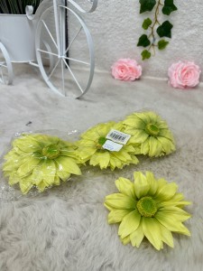 Rudbekia wyrobowa limonka  12szt.        