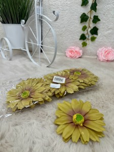 Rudbekia wyrobowa zielona  12szt.        