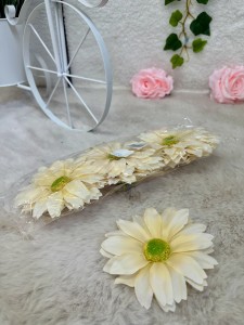 Rudbekia wyrobowa wanilia  12szt.         