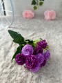 IMG_6651.jpeg