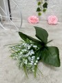 IMG_6989.jpeg
