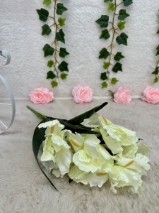 Bukiet Irysów biały 63