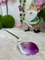 IMG_7348.jpeg