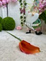 IMG_7350.jpeg