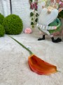 IMG_7351.jpeg