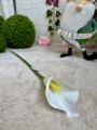 IMG_7353.jpeg