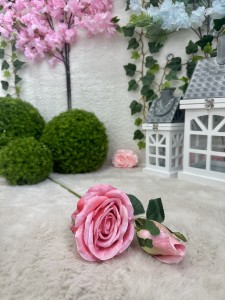 Róża różowa 68