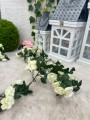 IMG_7499.jpeg