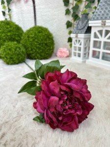 Piwonia fuksja  78 