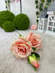 Róża brzoskwiniowa 72  