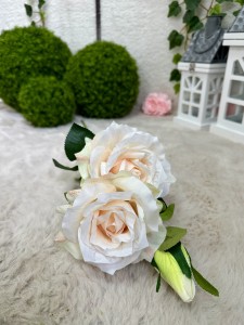 Róża ecru  72   
