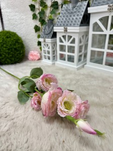 Eustoma różowa 85 
