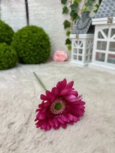Gerbera fuksja 42  