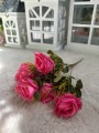 IMG_8369.jpeg