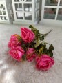 IMG_8370.jpeg