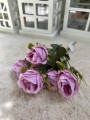 IMG_8372.jpeg