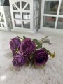 IMG_8374.jpeg