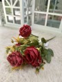 IMG_8379.jpeg