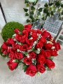 IMG_8417.jpeg