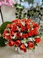 IMG_8425.jpeg