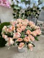 IMG_8426.jpeg