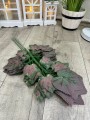 IMG_9311.jpeg