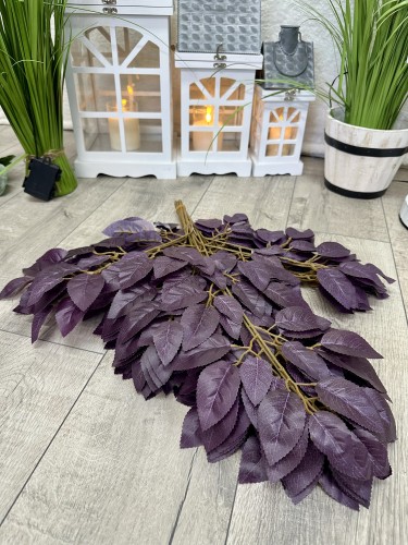 IMG_9331.jpeg