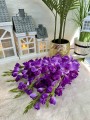 IMG_9380.jpeg