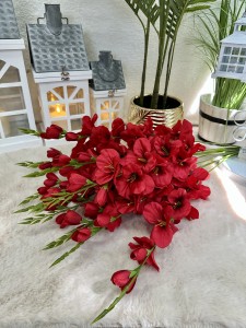 Pakiet mieczyków czerwonych 12szt 80   