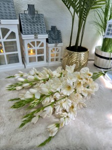 Pakiet mieczyków ecru 12szt 80   