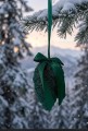 IMG_9612.jpeg