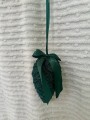 IMG_9611.jpeg