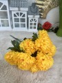 IMG_9660.jpeg