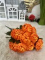 IMG_9661.jpeg