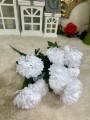 IMG_9667.jpeg