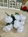 IMG_9668.jpeg