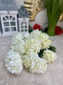 IMG_9673.jpeg