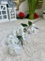 IMG_0020.jpeg