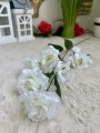 IMG_0021.jpeg