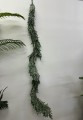 IMG_0120.jpeg