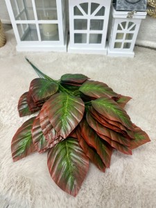 Pakiet liści magnolii  12szt 60