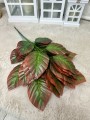 IMG_0352.jpeg
