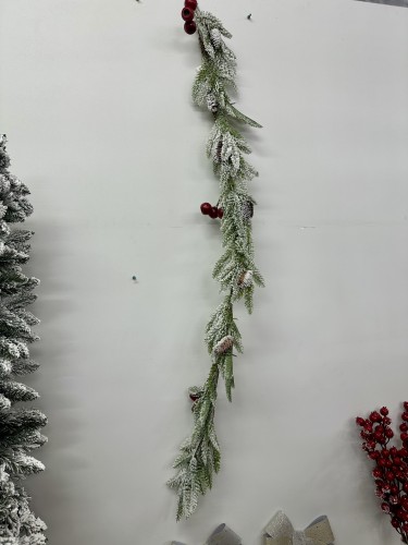 IMG_1017.jpeg