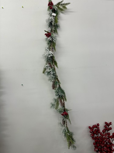 IMG_1019.jpeg