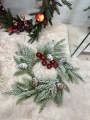 IMG_1031.jpeg