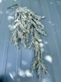 IMG_1459.jpeg