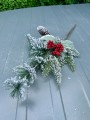 IMG_1465.jpeg