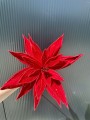 IMG_1514.jpeg