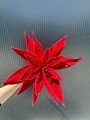IMG_1512.jpeg